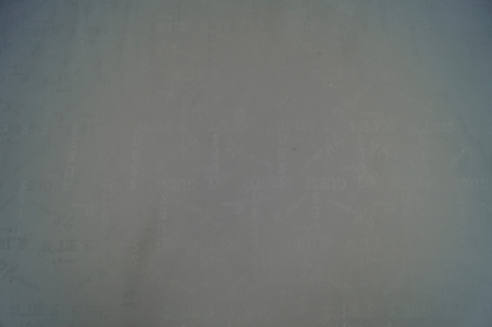 Подкладочная ткань Guess Подкладочная ткань Guess